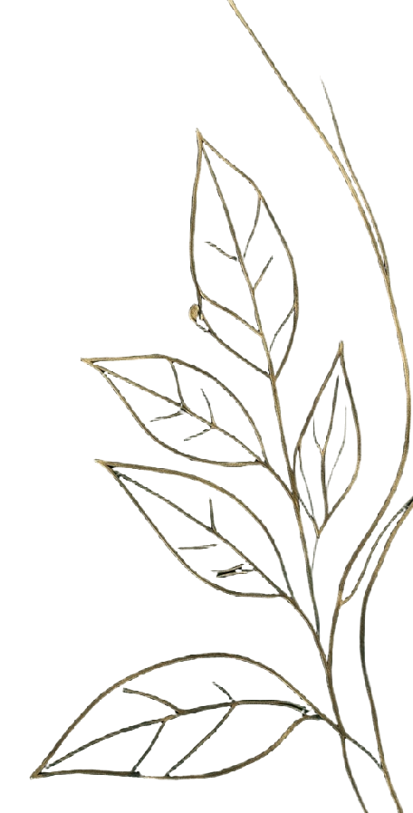 Decorative botanical leaves